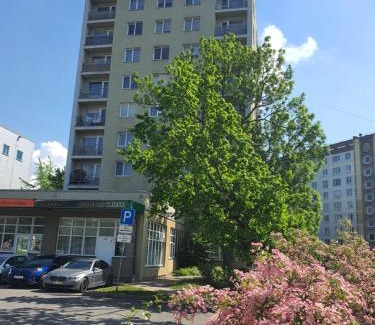 Plavnieki Apartamento | cozy flat in new project with air conditioner & jacuzzi