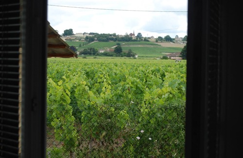Saint-Sulpice-de-Faleyrens Cabaña | acogedor apartamento, cerrado parkink gratuito, WiFi, aire acondicionado, a 600 metros de Saint-Emilion