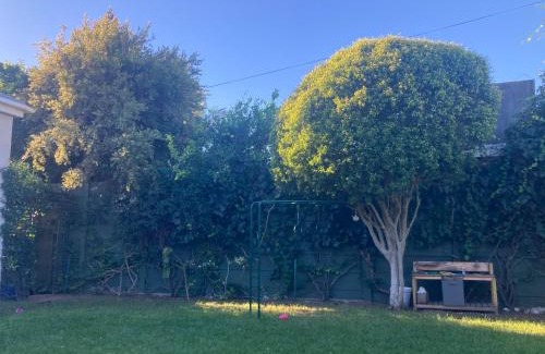 Claremont Apartamento | Cozy garden Guest Suite in charming Claremont