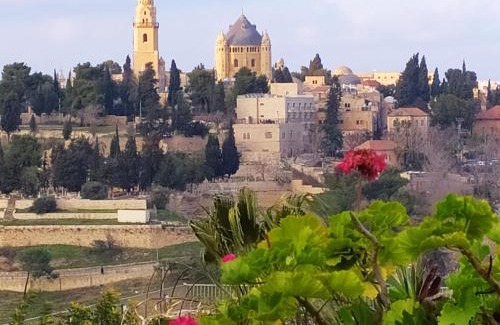 Jerusalem Casa | Cozy Garden