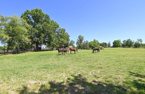 Rutland Casa | Cozy Georgetown Cottage on a Working Horse Farm!