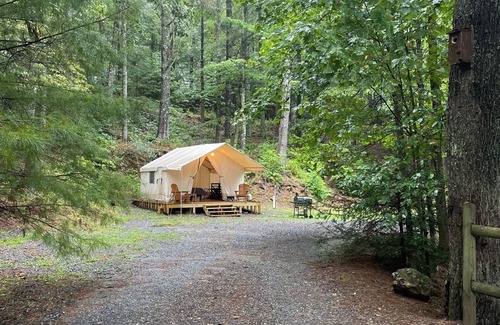 Deep Gap Cabina | Cozy Glamping Tent near Boone with AC