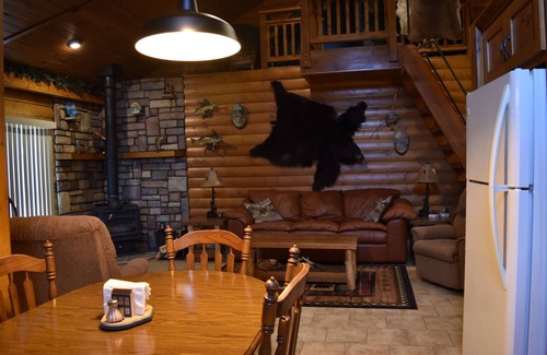 Crivitz Cabina | Cozy High Falls Cabin