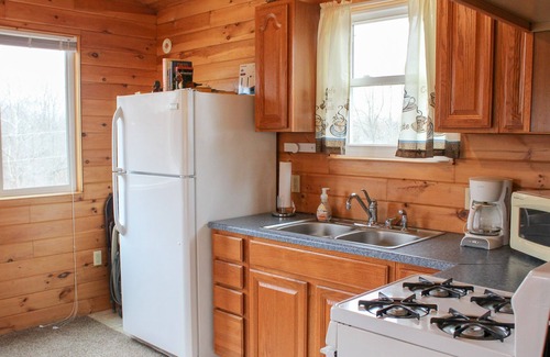 Nelsonville Cabina | Cozy Cabin-Vista al bosque-Estándar-Cabaña-Baño Privado