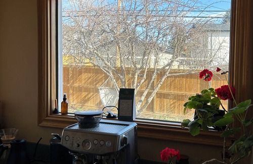 Northwest Calgary Casa | Cozy home in a quiet neighbourhood among old trees. 10 min drive to city centre.