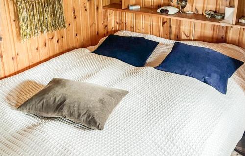 Nissedal Casa | Cozy Home In Nissedal