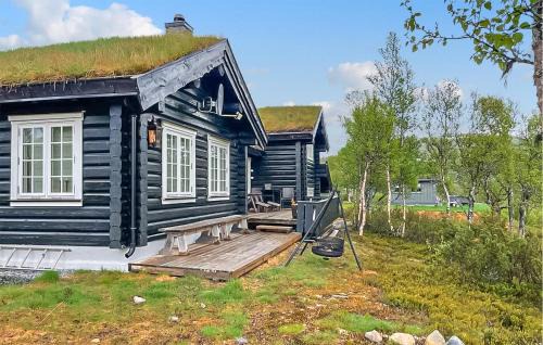Rauland Casa | Cozy Home In Rauland With Sauna