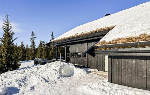 Sjusjoen Casa | Cozy Home In Sjusjøen With Kitchen