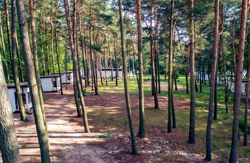 Swiecie Casa | Acogedora casa en Sulnowo con sauna