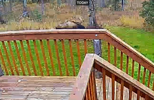 Kalifornsky Casa | Nueva casa acogedora, a pocos minutos de los ríos Kenai y Kasilof.