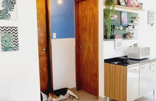 Sao Jose Casa | Cozy house Búzios, 1km from the beach. Pets are welcome