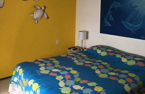 Bosque de Geriba Casa | Cozy house Geribá, less than 10 minutes from the beach.