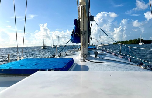 Coconut Grove Alquiler De Eote | Cozy Houseboat in Vibrant Miami with AC and WiFi