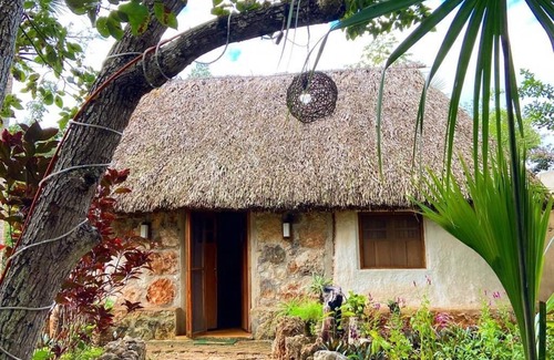 Tzucacab Cabina | Cozy hut (Casa Maya) in the middle of nature