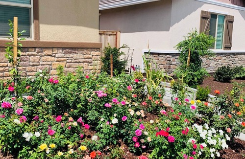 Antelope Casa | Cozy in law suite in Antelope with WiFi, AC, street parking, washer dryer