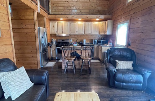 Dandridge Cabina | Cozy LAKE cabin with a view of Douglas Lake in East TN! Sleeps 5!