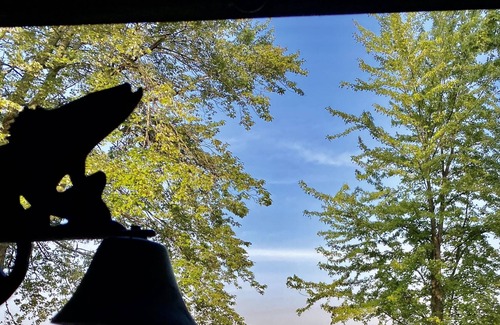 Bemus Point Cabina | Cozy lakefront cabin near Bemus Point, Lake Chautauqua
