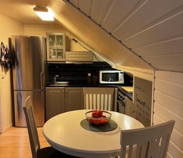 Tromso Apartamento | Cozy loft apartment with a view