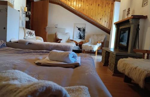 Metsovo Apartamento | Cozy Loft with Fireplace & View