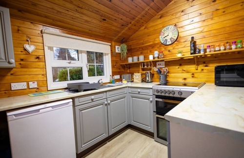 Ffestiniog Cabina | Cozy Log Cabin 346 - Rural Mid Wales