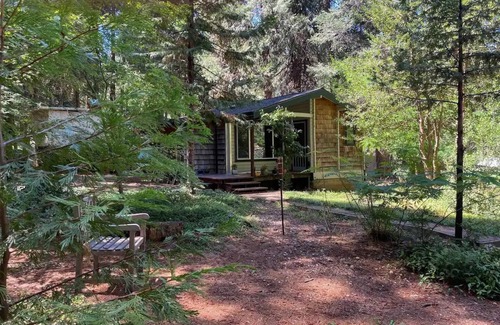 Nevada City Cabina | Cozy log cabin in the woods