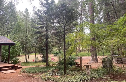 Nevada City Cabina | Cozy log cabin in the woods