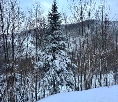 Faidello Apartamento | Cozy Mountain Apartment with Cimone view