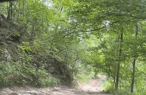 Northfork Cabina | Cozy Mountain Cabin within minutes to Hatfield McCoy and Outlaw Trails