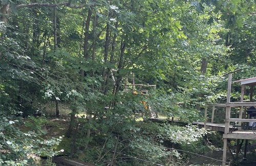Northfork Cabina | Cozy Mountain Cabin within minutes to Hatfield McCoy and Outlaw Trails