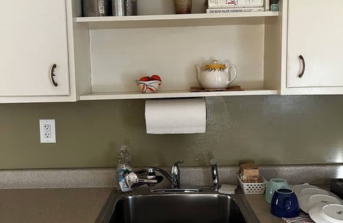 Irving Park Apartamento | Cozy, Natural Albany Park Apartment