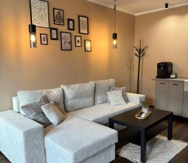 Rasnov Chalet De Esquí | Cozy Nest Rasnov