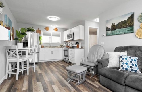 North Star Apartamento | Cozy, newly renovated 1-bedroom unit -1