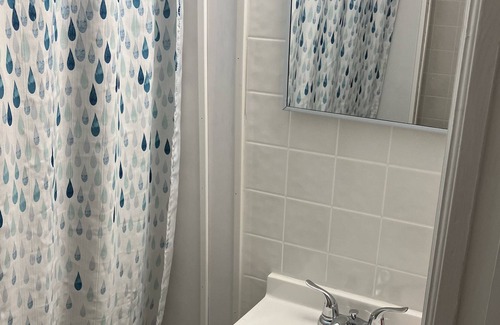 Mount Pleasant Casa | Cozy one bed room upper unit