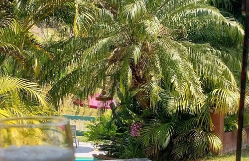 Nazare Paulista Cabaña | COZY PARADISE SITE WITH A LOT OF GREEN