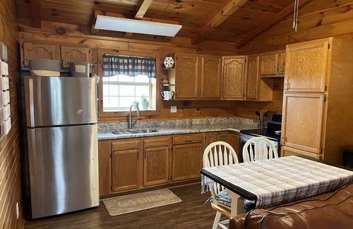 Stony Ridge Cabina | Cozy Perrysburg Cabin - Studio with Fireplace!