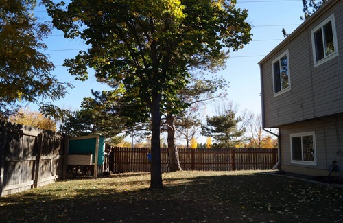Longmont Casa | Cozy, pet friendly, home. Great location for walks, food, Boulder, Lyons & RMNP