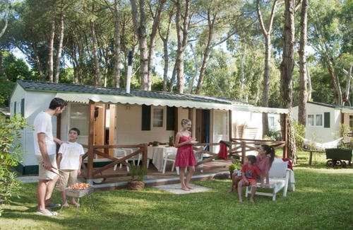 Baia Domizia Chalet De Esquí | Acogedor chalet en el bosque de pinos