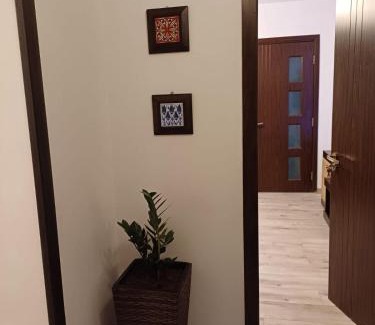 Craiova Apartamento | Cozy Place