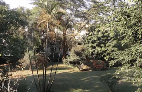 Thompson Estate Casa | cozy quiet 1br with garden view