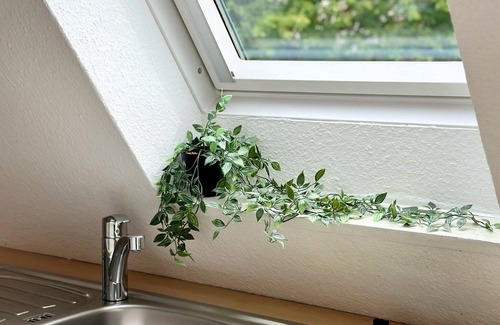 Schneverdingen Apartamento | Cozy, quiet apartment - close to the center, the heath and the Heide Park!