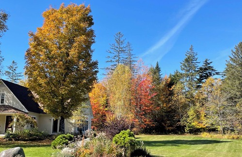 Greensboro Apartamento | Cozy retreat in Greensboro Northeastern Kingdom Vermont