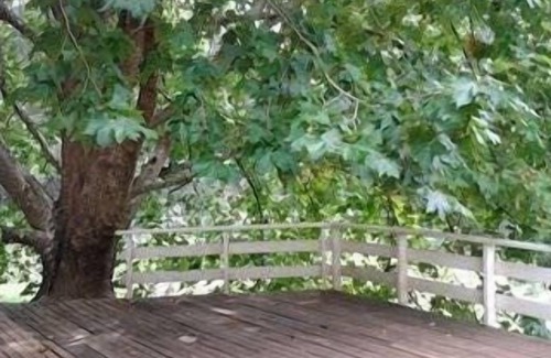 Centro Casa | Casa acogedora, romántico y encantador en medio de una exuberante naturaleza.