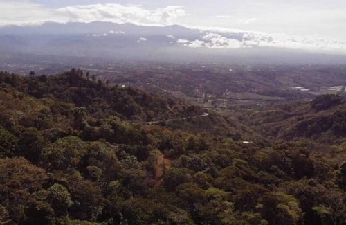 San Isidro de El General Otro | Cozy Room on Tropical Farm View