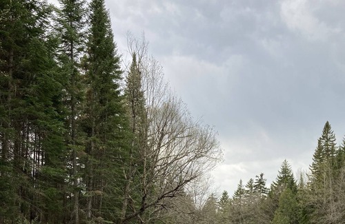 Pittsburg Cabina | Cozy Rustic Cabin in the Heart of Pittsburg w/ Trail Access