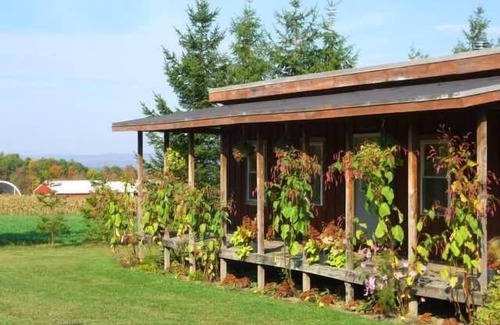 Valois Cabina | Acogedora cabaña rústica con hermosas vistas, privacidad y a 1 milla del lago Keuka