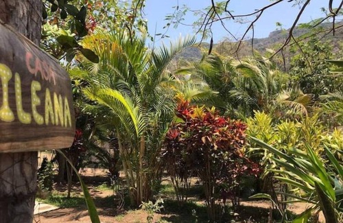 Puerto Vallarta Cabaña | Cozy rustic casita located 5 minutes away from the river.