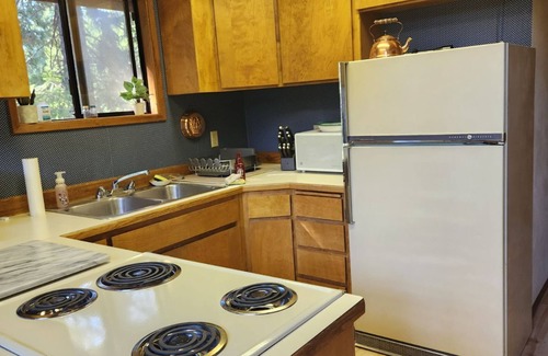 Packwood Cabina | Cozy Rustic Private Packwood Cabin
