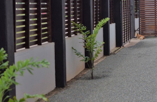 Hikkaduwa Apartamento | Cozy Sea View Inn