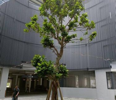 Bukit Indah Apartamento | Cozy Sky Trees with Balcony, Smart TV , Aeon & Pool