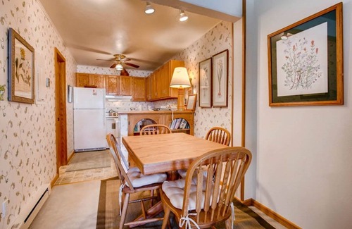 Crested Butte Apartamento | Cozy Slopeside Condo | Private Balcony & Fireplace